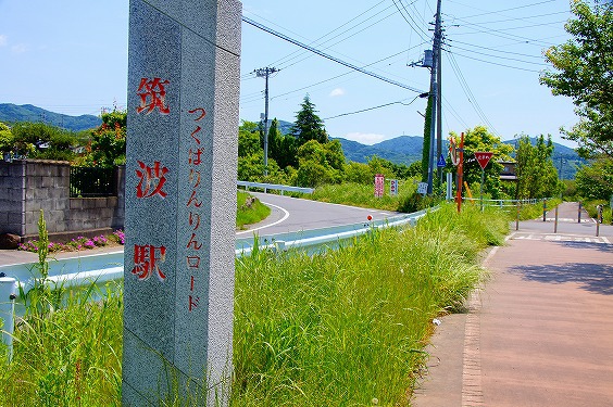 今年も行ってきましたぁ～　紅葉狩り