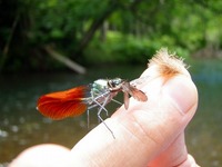 おっかねぇ～～ 2011/07/09 12:46:16