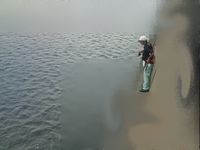 最近の状況 2009/08/21 16:25:41