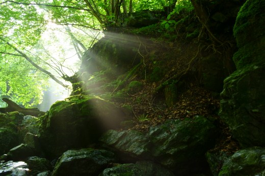 Recollection　～　光