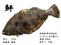 雨なので　デジ拓　第３弾