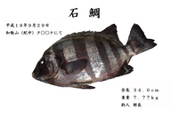 デジ拓　第２弾
