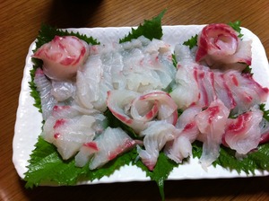 テスト釣行の日に・・・・。