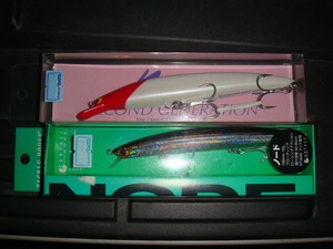 コラボで泉南シーバス！