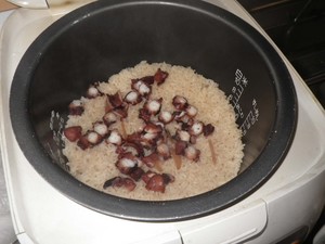 先日のタコの行方は・・・・。