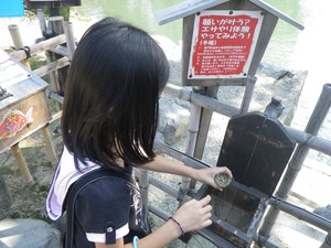 キャンプ　香川県　後編