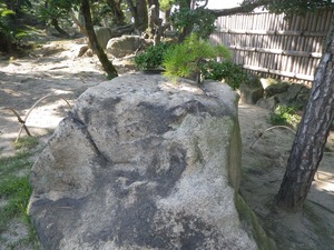 キャンプ　香川県　後編