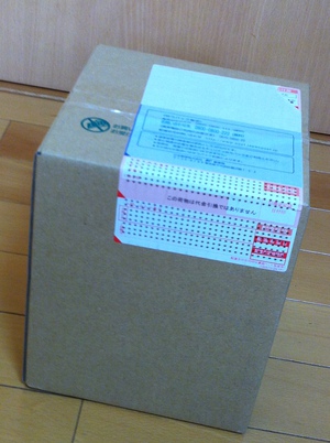 新戦力が仲間入り！