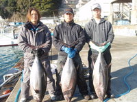 マグロ ３０㎏が・・・・。