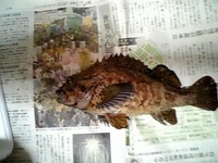 ２月２３日　メバリング 2007/02/25 19:42:40