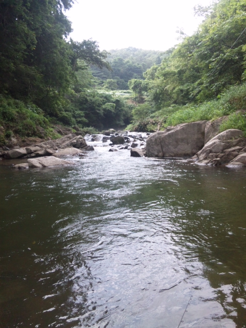 盆休み1日目