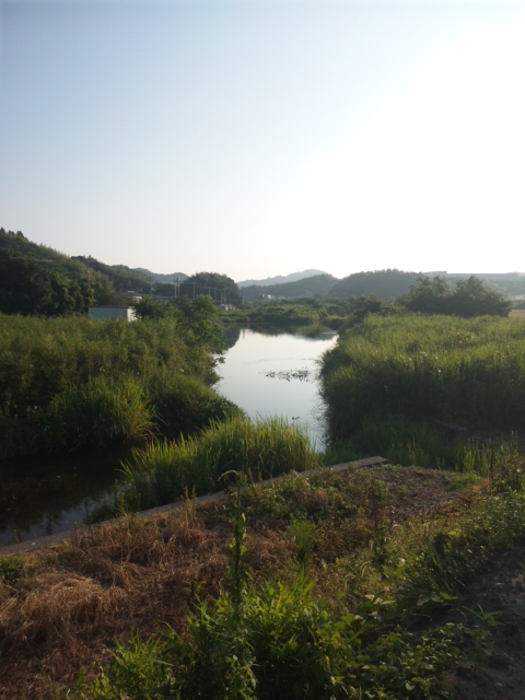 盆休み3