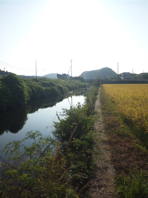 盆休み3