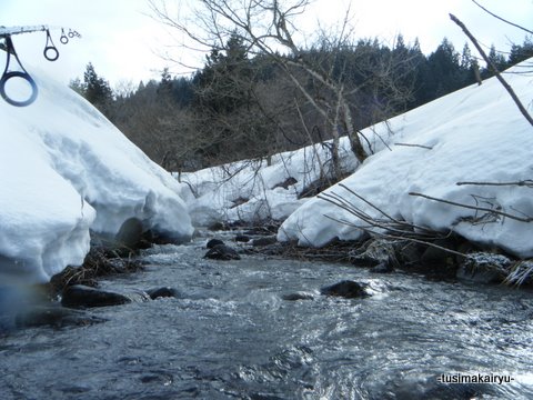 雪と尺イワナ