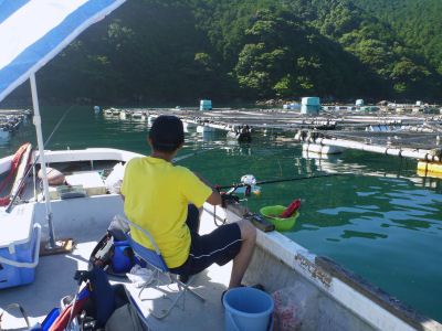 かせ釣り