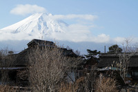 忍野八海
