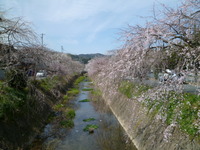 イイ天気です。 2011/03/29 13:25:07