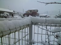 昨日の雪は凄かった　雪o.ﾟ｡━($+*Ｕ艸Ｕ+)♪+.━｡ﾟ.oだぁ♪ 2012/02/04 18:03:30