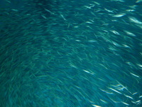 ３月２４・２５日と九州に旅行しました 2012/03/27 17:07:14