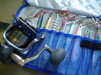 青物が。。。 2012/08/16 16:48:46