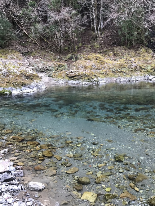 渓流解禁♪