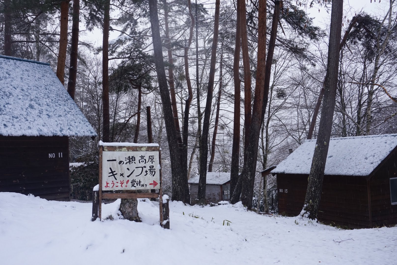 ハンモック泊の朝はびっくり仰天