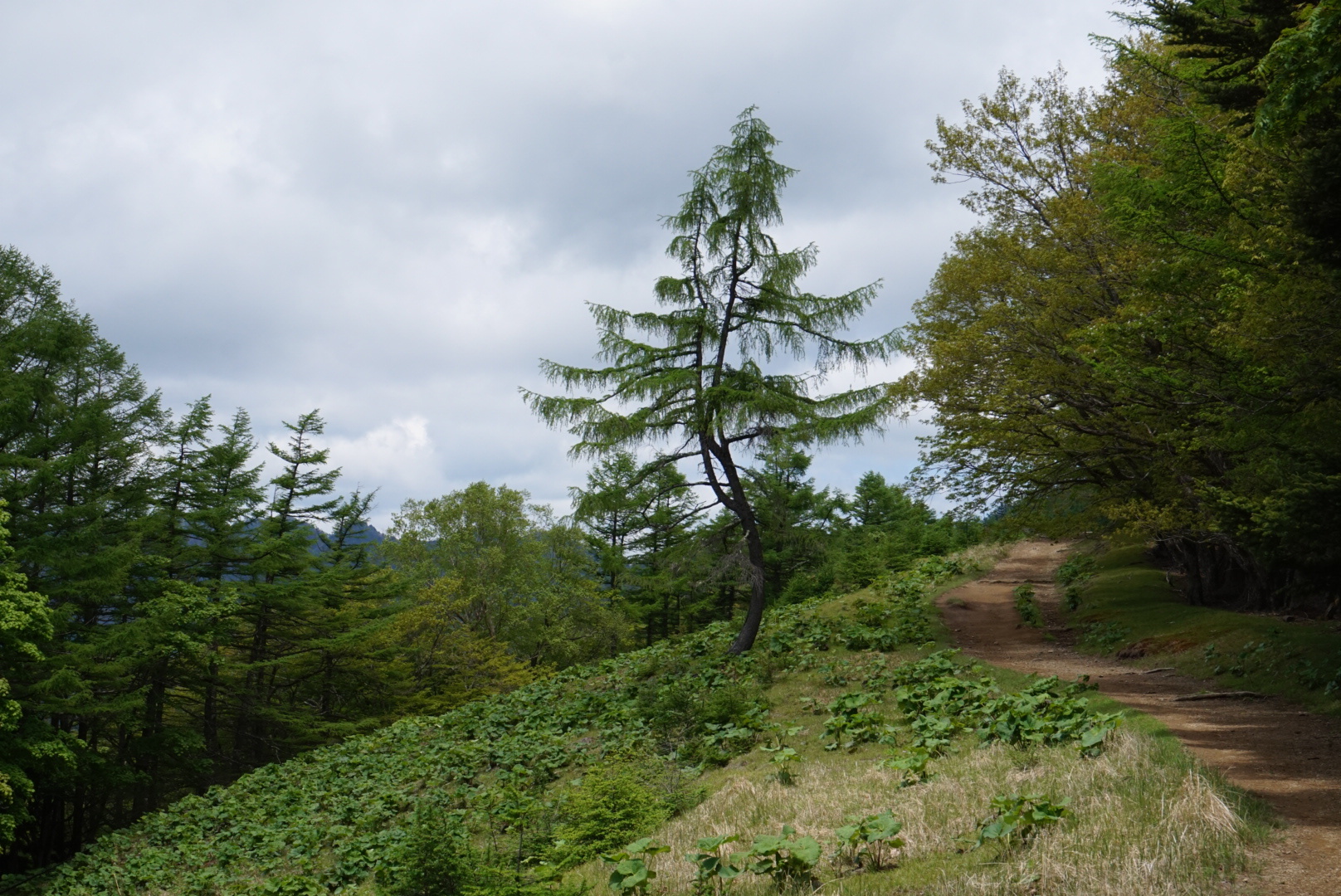 絶景地でキャンプがしたい計画