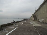 和歌山北港魚釣り公園 2013/12/12 10:10:45