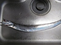 連敗ストップ？ 2015/09/11 14:54:29