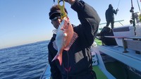 今年最後の乗合船釣行は一つテンヤ～!ラスト釣行を飾れるか? 2015/11/29 21:56:32
