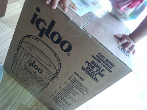 igloo 購入