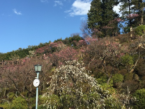 池上梅園