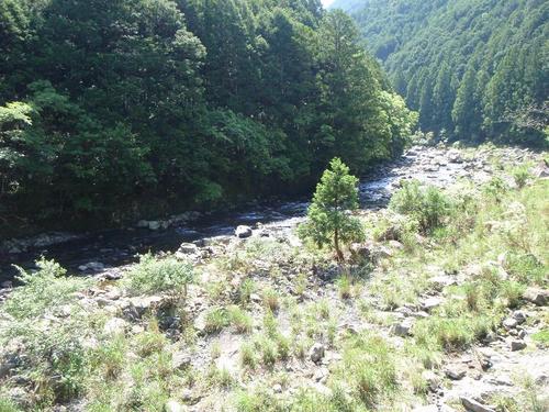 年間１００日釣行日記 日置川鮎 ぬるぬる過ぎ