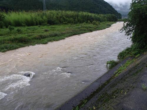 またまた増水の鮎釣り・・・