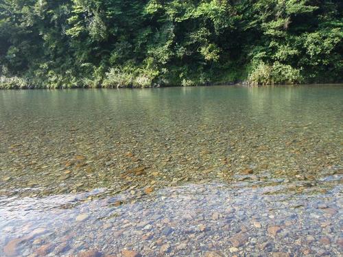 熊野川→龍神♪鮎ちゃん