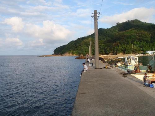 日本海へ小アジ釣り♪アコウが釣れた♪