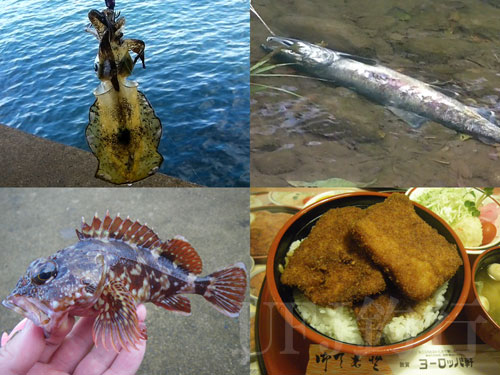 越前海岸釣行