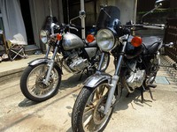 ボルティーだぜぇ～ 2013/08/04 14:05:27