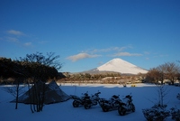 ２０１１もあと僅か・・・ 2011/12/31 22:33:43