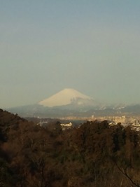 春は何処？ 2012/03/01 08:38:46