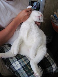 脱力感