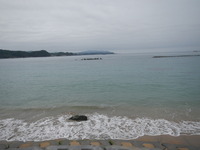 フラットフィッシュ④