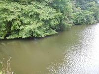 バス① 2012/07/17 19:10:42