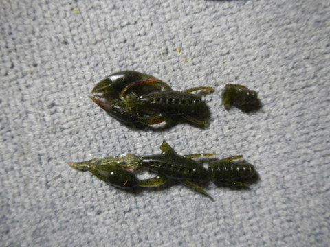 ワーム補修