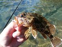 日本海デビュー　　釣編
