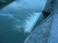 鯰Vol.1 by bd 2008/07/24 12:41:01