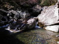 何とか・・・解禁 2007/03/13 12:12:00