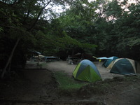 自然の森ファミリーオートキャンプ場②
