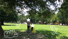真夏日の、昭和記念公園。