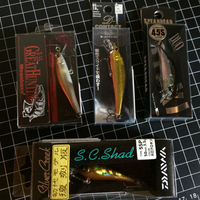残暑の衝動買い